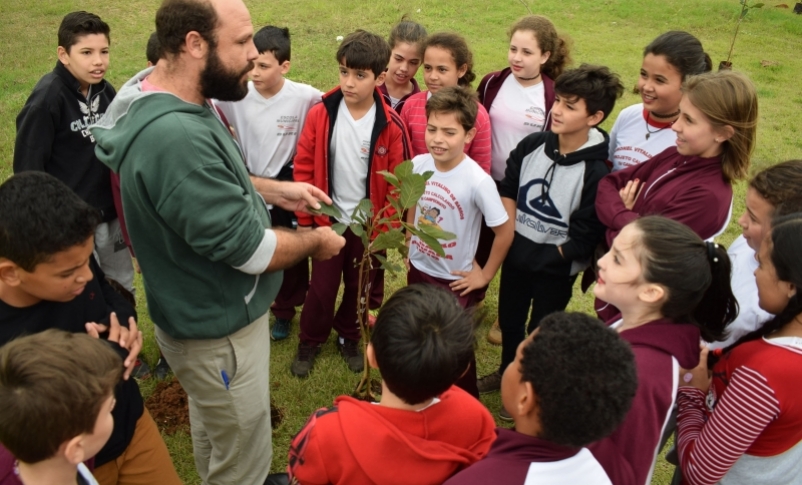 Semana do meio ambiente foi comemorado com plantio de mudas de árvores por alunos